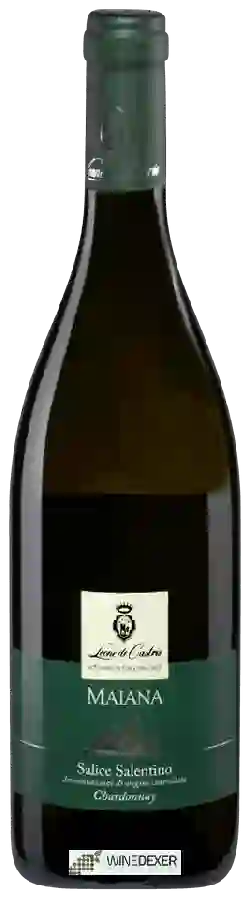 Winery Leone de Castris - Maiana Chardonnay Salice Salentino Winery Leone de Castris - Maiana Chardonnay Salice Salentino