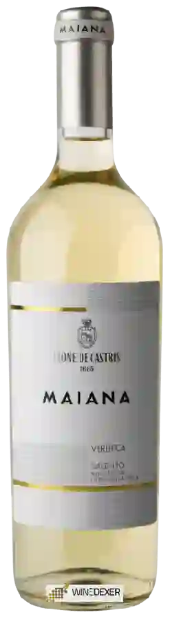 Winery Leone de Castris - Maiana Salento Verdeca