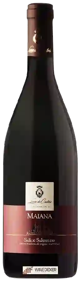 Winery Leone de Castris - Maiana Salice Salentino Winery Leone de Castris - Maiana Salice Salentino