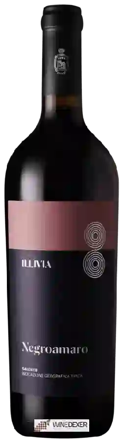 Winery Leone de Castris - Negroamaro Illivia Salento