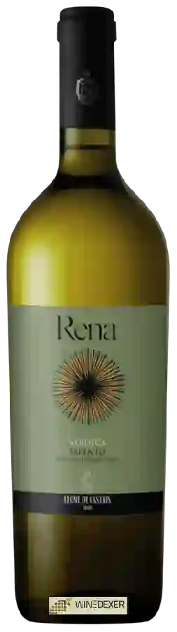 Winery Leone de Castris - Rena Verdeca Winery Leone de Castris - Rena Verdeca