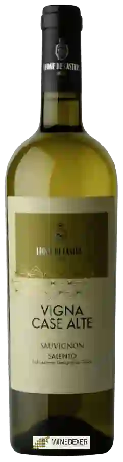 Winery Leone de Castris - Vigna Case Alte Sauvignon Salento Winery Leone de Castris - Vigna Case Alte Sauvignon Salento