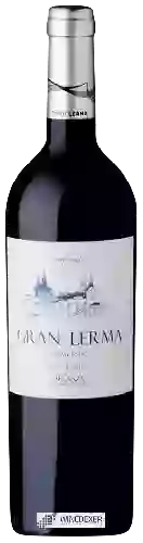 Winery Lerma - Gran Lerma Finca el Borro Tempranillo