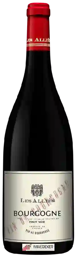 Winery Les Alliés - Bourgogne Pinot Noir Winery Les Alliés - Bourgogne Pinot Noir