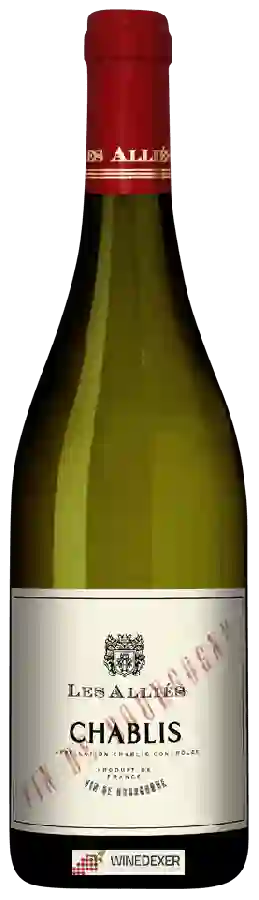 Winery Les Alliés - Chablis