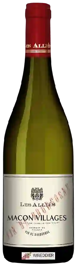 Winery Les Alliés - Mâcon-Villages