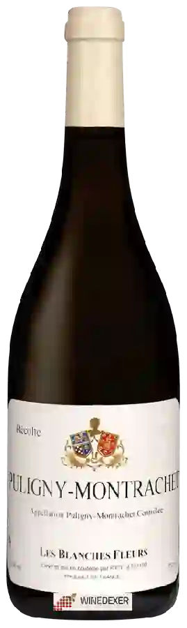 Winery Les Blanches Fleurs - Puligny-Montrachet Winery Les Blanches Fleurs - Puligny-Montrachet