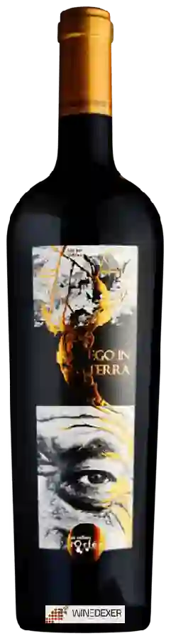Winery Les Celliers d'Orfèe - Ego in Terra