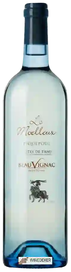 Winery Les Costières de Pomerols - Beauvignac Le Moelleux Piquepoul