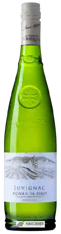 Winery Les Costières de Pomerols - Luvignac Picpoul de Pinet