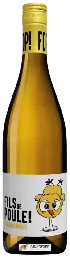 Winery Les Cuvées Décomplexées - Fils de Poule!