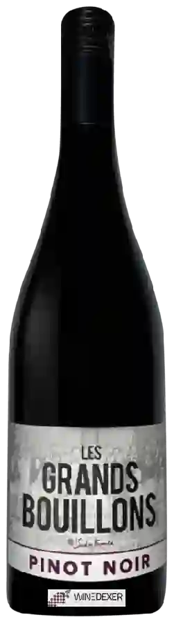 Winery Les Grands Bouillons - Pinot Noir