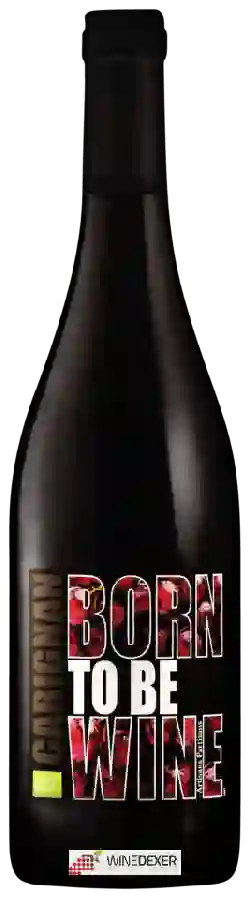 Château Ollieux Romanis - Born To Be Wine Château Ollieux Romanis - Born To Be Wine