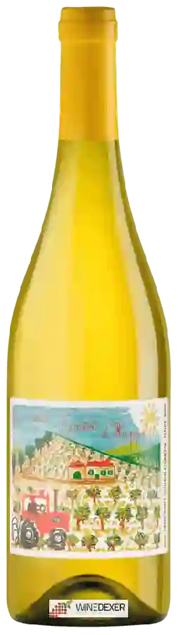 Château Ollieux Romanis - Lo Petit Fantet d'Hyppolite Blanc Château Ollieux Romanis - Lo Petit Fantet d'Hyppolite Blanc