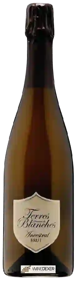 Winery Les Terres Blanches - Ancestral Blanc Brut