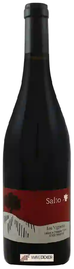 Winery Les Vigneaux - Salto Winery Les Vigneaux - Salto