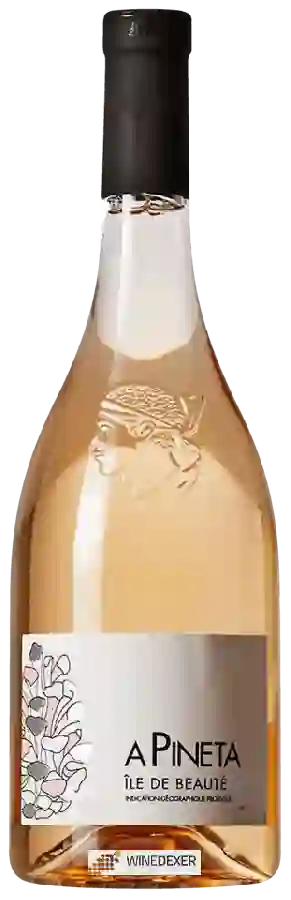 Winery Les Vignerons d'Aghione - A Pineta Île de Beauté Rosé