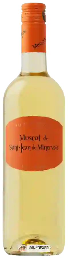 Winery Les Vignerons de Saint Jean de Minervois - Petit Grain Winery Les Vignerons de Saint Jean de Minervois - Petit Grain