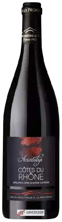 Winery Les Vignerons de Tavel - Acantalys Côtes du Rhône Rouge