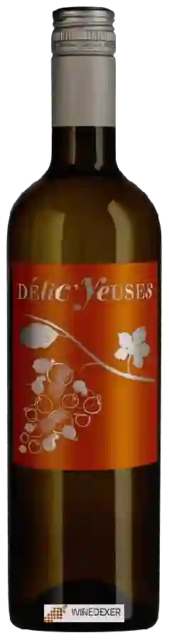 Domaine Les Yeuses - Délic'Yeuses Blanc Domaine Les Yeuses - Délic'Yeuses Blanc