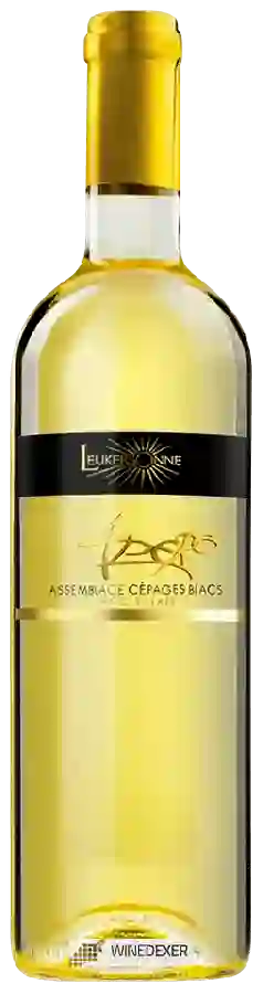 Winery Leukersonne - Apero Assemblage Cépages Blanc