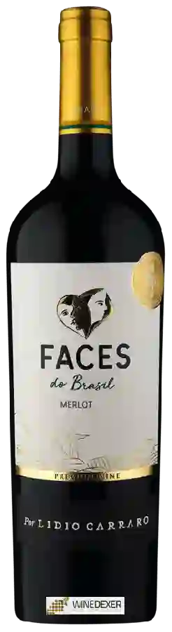 Winery Lidio Carraro - Faces Merlot Winery Lidio Carraro - Faces Merlot