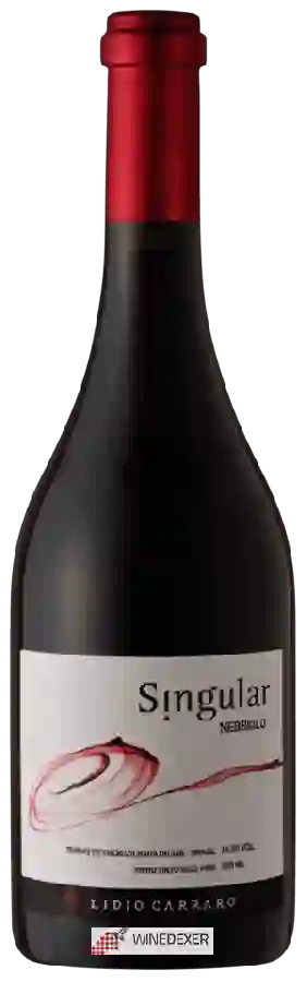 Winery Lidio Carraro - Singular Nebbiolo