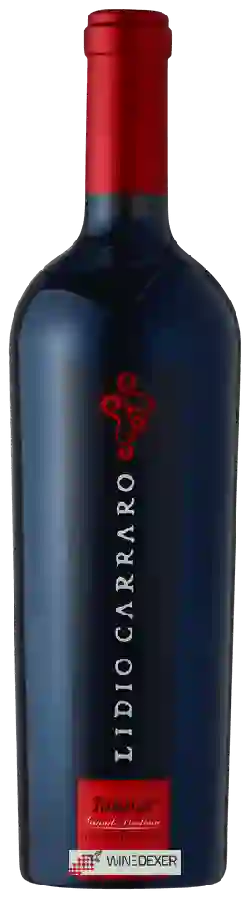Winery Lidio Carraro - Tannat (Grande Vindima) Winery Lidio Carraro - Tannat (Grande Vindima)