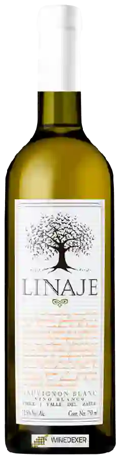 Winery Linaje - Sauvignon Blanc Winery Linaje - Sauvignon Blanc