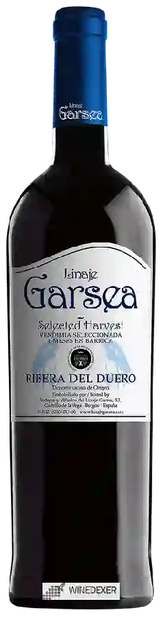 Winery Linaje Garsea - Selected Harvest Winery Linaje Garsea - Selected Harvest