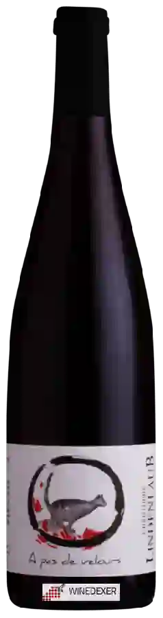 Winery Lindenlaub - A Pas de Velours Winery Lindenlaub - A Pas de Velours