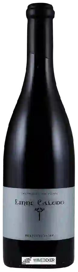 Winery Linne Calodo - Perfectionist Winery Linne Calodo - Perfectionist