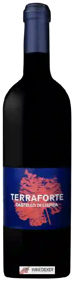 Winery Castello di Lispida - Terraforte