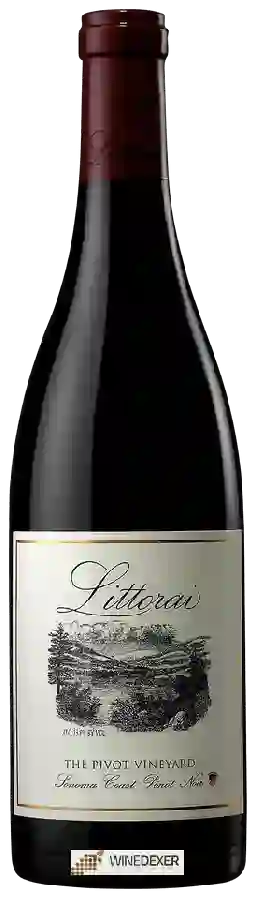 Winery Littorai - The Pivot Vineyard Pinot Noir Winery Littorai - The Pivot Vineyard Pinot Noir