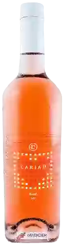 Winery Llanerch Vineyard - Cariad Rosé