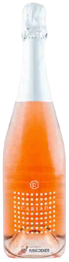Winery Llanerch Vineyard - Cariad Sparkling Blush