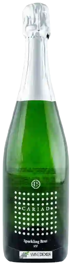 Winery Llanerch Vineyard - Cariad Sparkling Brut