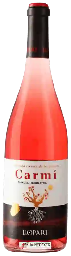 Winery Llopart - Carmi Rosat Winery Llopart - Carmi Rosat