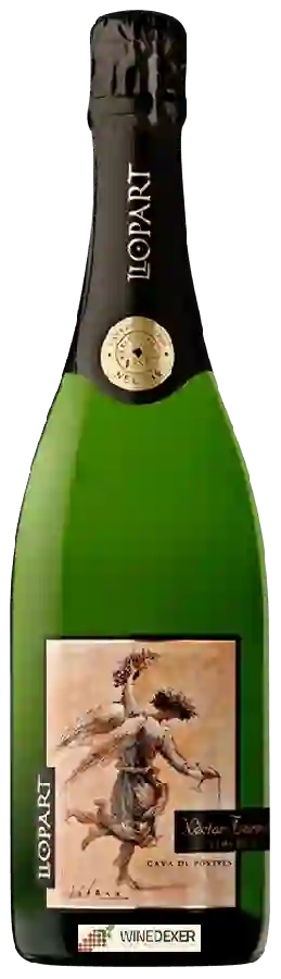 Winery Llopart - Cava Nèctar Terrenal Semi Dolç