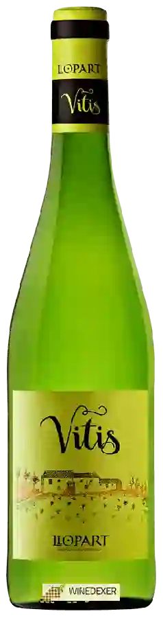 Winery Llopart - Vitis Penedès Winery Llopart - Vitis Penedès