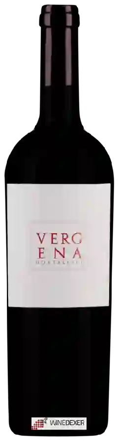 Winery Logonovo - Vergena Montalcino