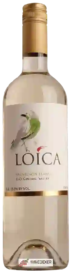 Winery Loica - Sauvignon Blanc Winery Loica - Sauvignon Blanc