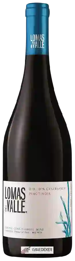 Winery Lomas del Valle - Pinot Noir Winery Lomas del Valle - Pinot Noir