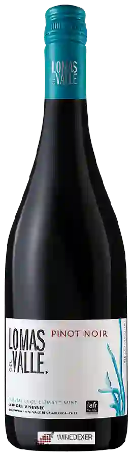 Winery Lomas del Valle - Single Vineyard Pinot Noir Winery Lomas del Valle - Single Vineyard Pinot Noir