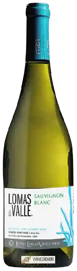 Winery Lomas del Valle - Single Vineyard Sauvignon Blanc Winery Lomas del Valle - Single Vineyard Sauvignon Blanc