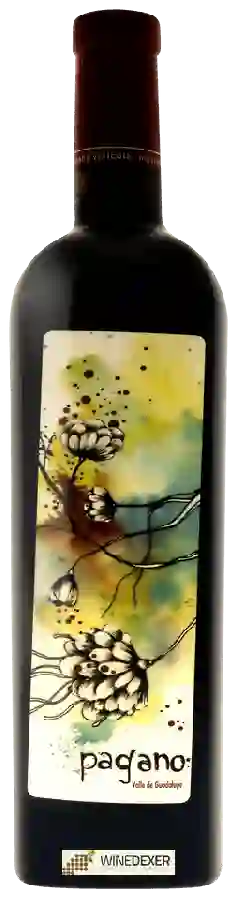 Winery Hacienda La Lomita - Pagano