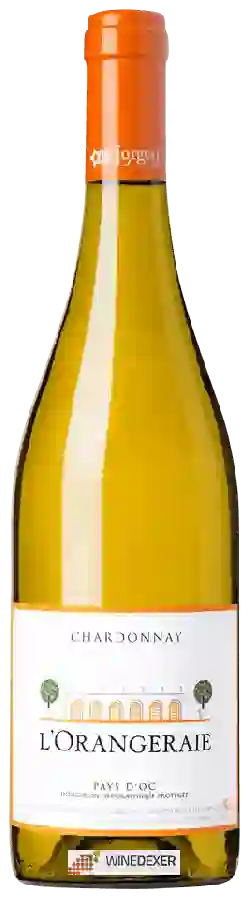 Winery L'Orangeraie - Chardonnay