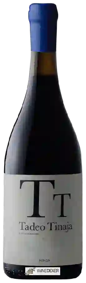 Winery Los Aguilares - Tadeo Tinaja