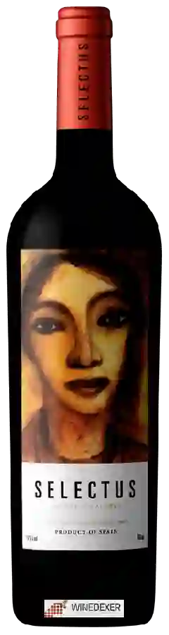 Winery Finca Los Aljibes - Selectus Winery Finca Los Aljibes - Selectus