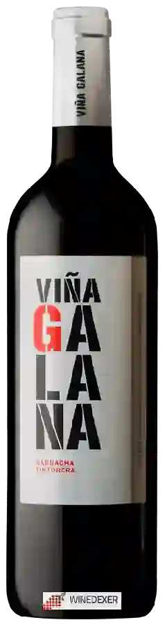 Winery Finca Los Aljibes - Viña Galana Garnacha Tintonera Winery Finca Los Aljibes - Viña Galana Garnacha Tintonera